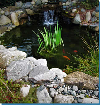 Waukesha Water Garden Management Services near me